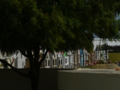 Colorful Cemetery in Aruba