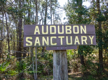 Audobon Sanctuary, Dauphin Island