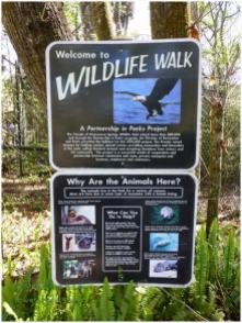 Wildlife walk at Homosassa Springs Wildlife Park
