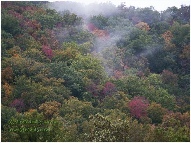 Fall Foliage, Boxley Valley, AR
