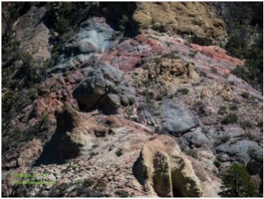 Minerals on the hillside, Lost Mine Trail