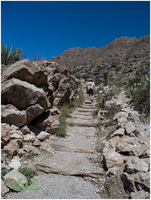 Boquillas Canyon Trail