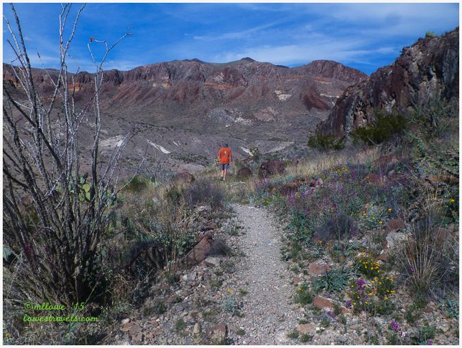 Burro Mesa Pour Off Trail