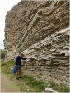 Stratified Limestone Rock