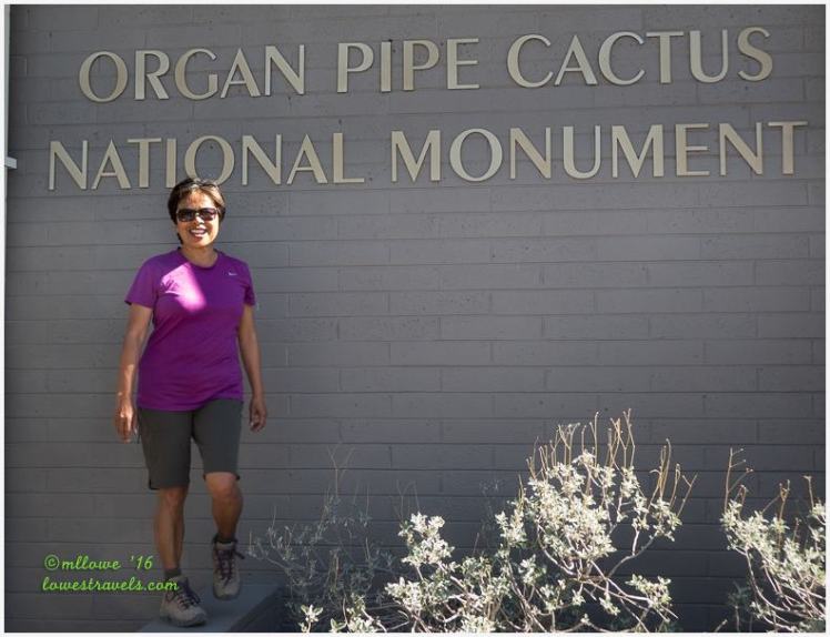 Organ Pipe Cactus national Monument