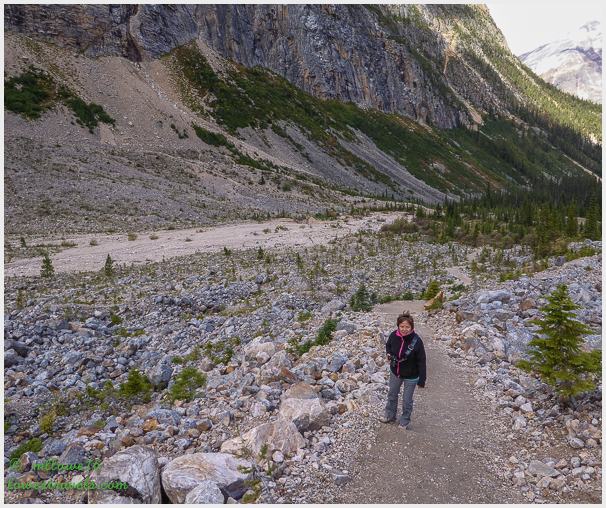 Path of Glacier Trail
