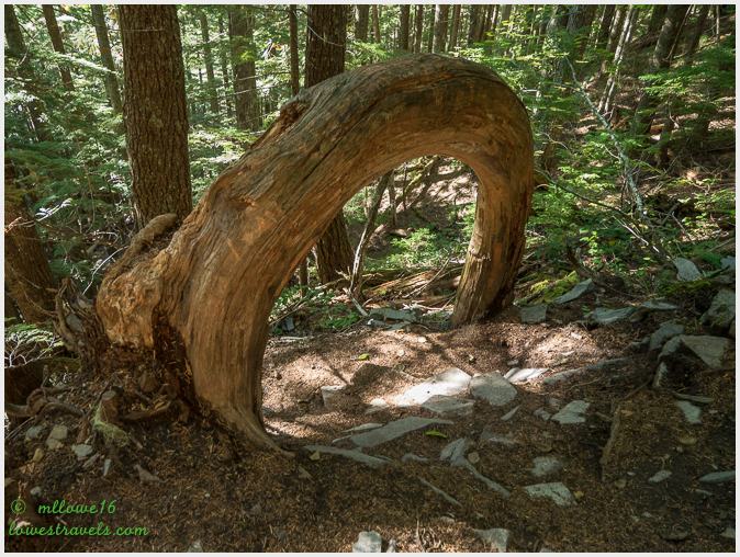 Wooden Arch - Rampart Ridge Trail