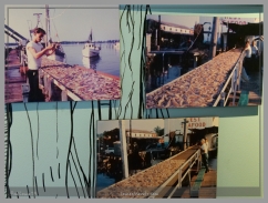 Biloxi was the shrimp capital of the U.S. in the 1920's